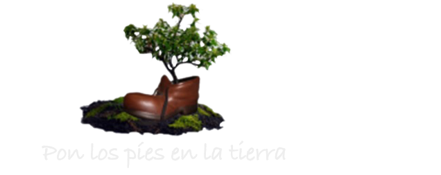 Logo pies tierra